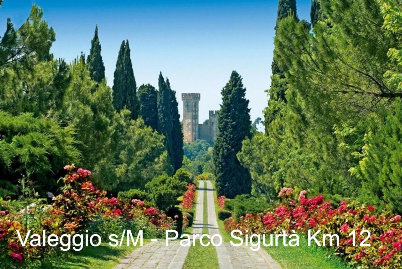 Appartamento "Il Vicolo" بسكييرا ديل غاردا المظهر الخارجي الصورة